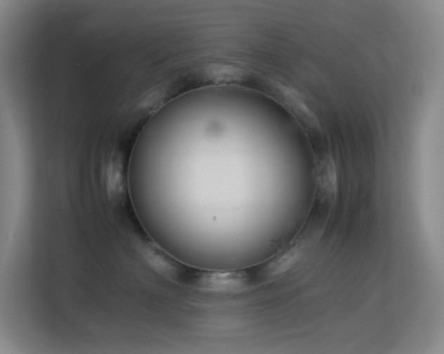 X0000113890622200909241418