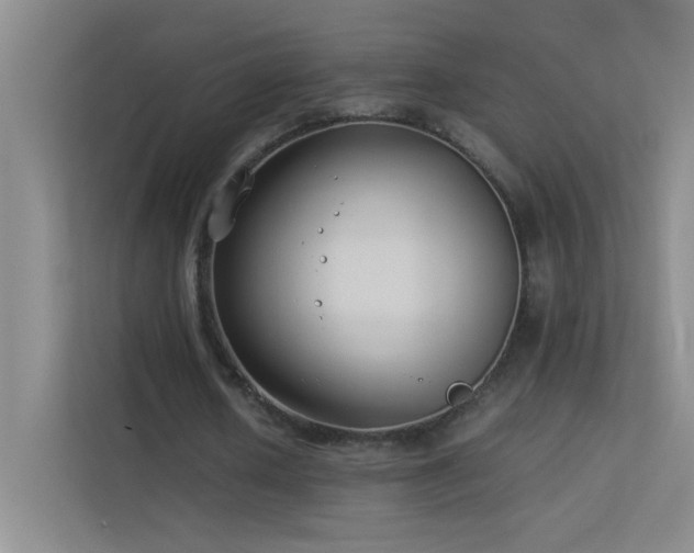 X0000113890626200909241418