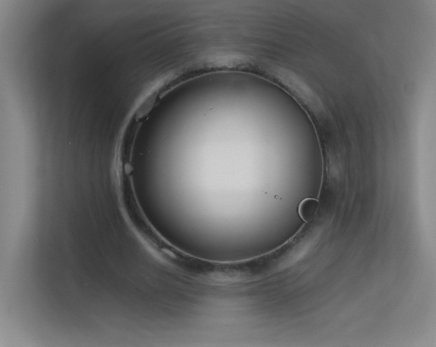 X0000113890630200909241418