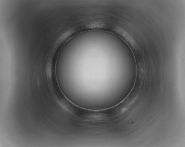 X0000113890631200909241418
