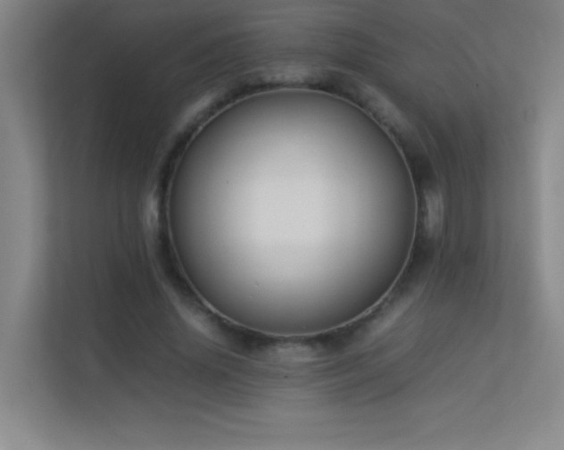 X0000113890636200909241418