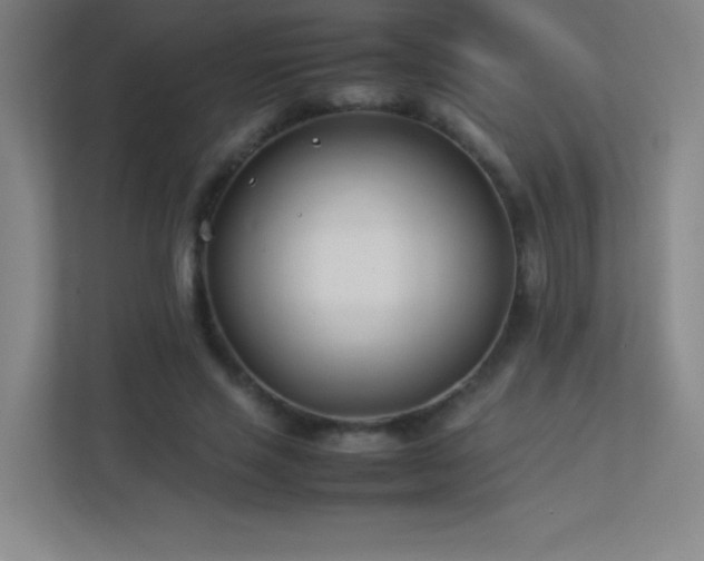 X0000113890637200909241418