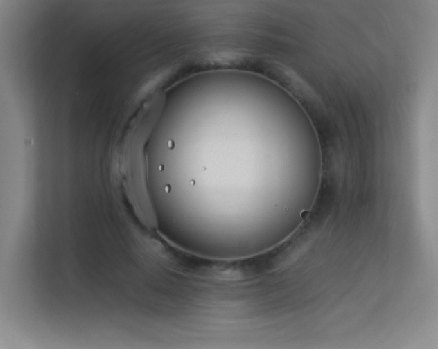 X0000113890640200909241418