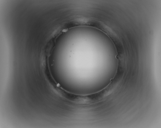 X0000113890642200909241418