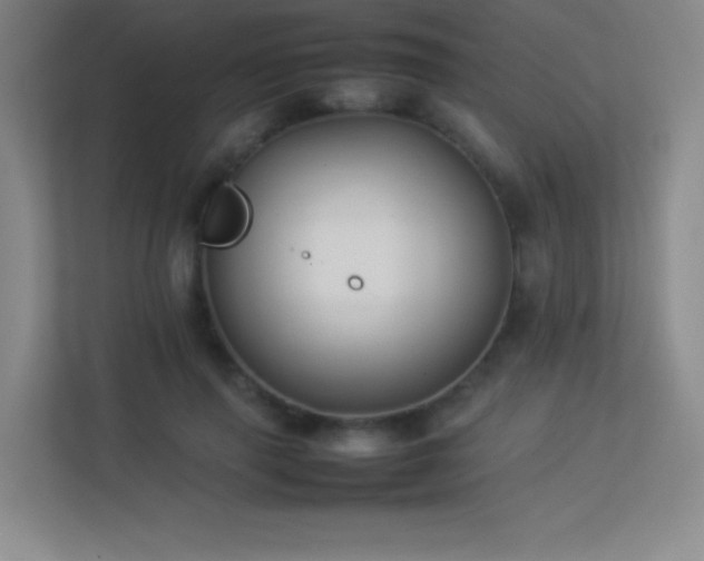 X0000113890645200909241418