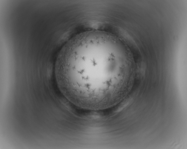X0000113890656200909241418