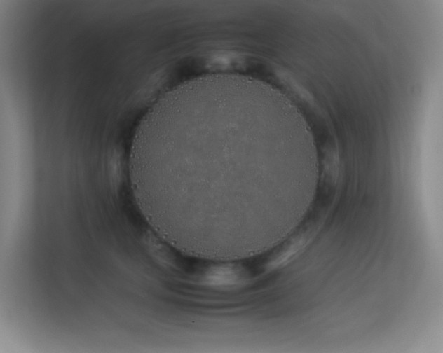 X0000113890659200909241418