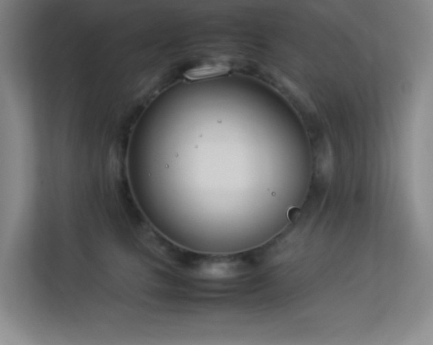 X0000113890661200909241418