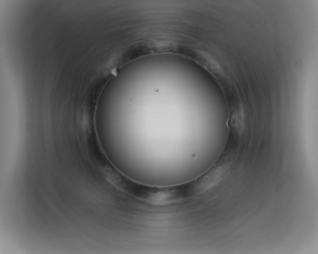 X0000113890662200909241418