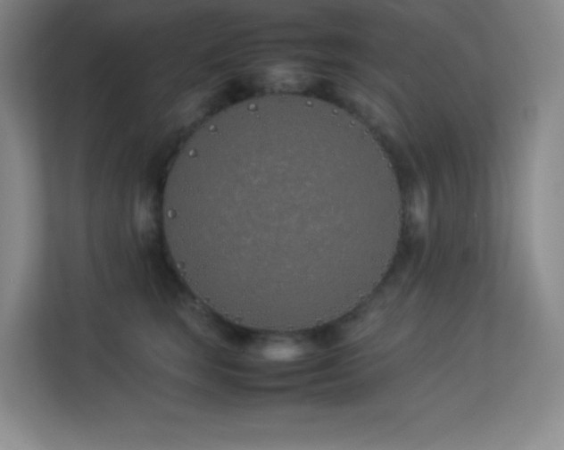 X0000113890663200909241418