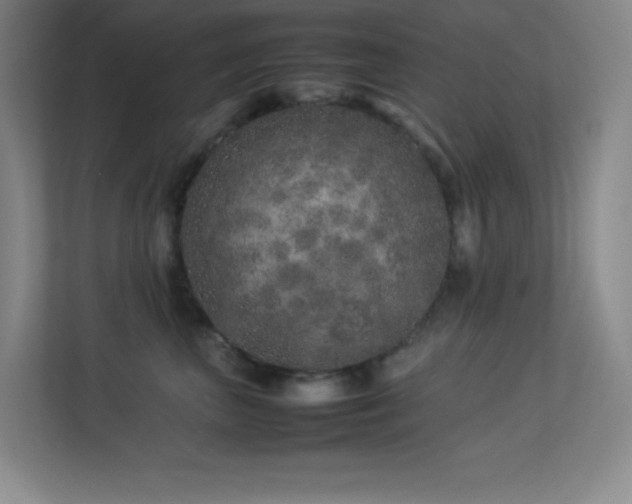 X0000113890667200909241418
