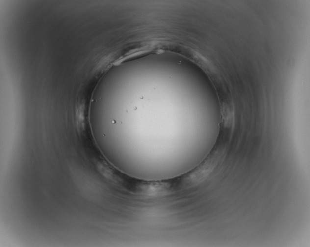 X0000113890670200909241418