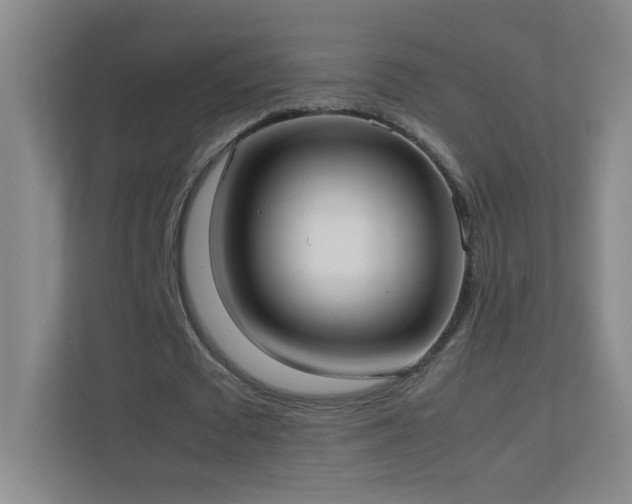 X0000113890673200909241418