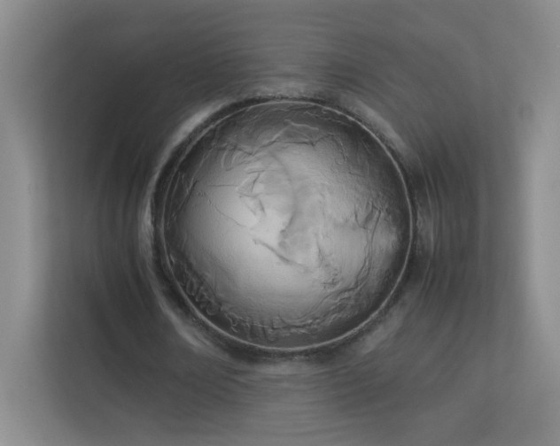 X0000113890674200909241417
