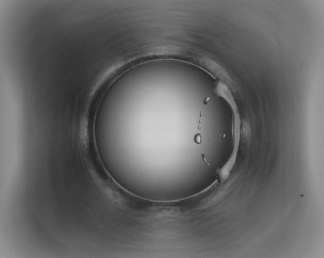 X0000113890676200909241417