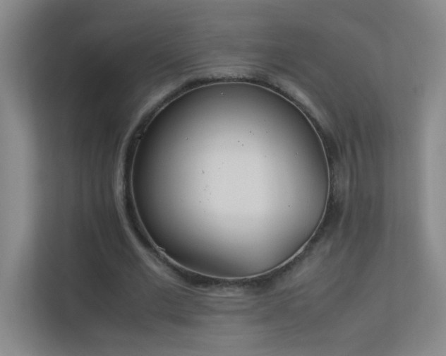 X0000113890677200909241417