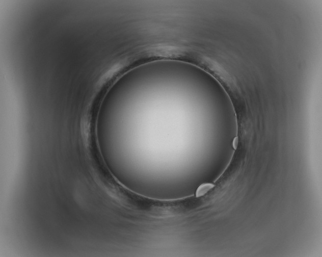 X0000113890679200909241417