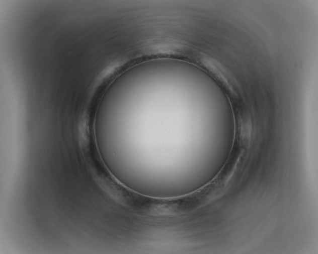 X0000113890680200909241417