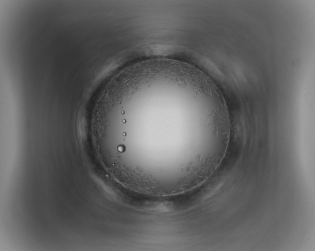 X0000113890683200909241417
