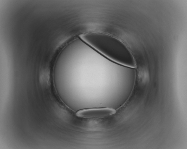X0000113890684200909241417