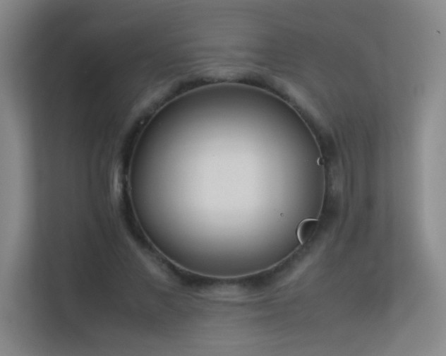X0000113890685200909241417