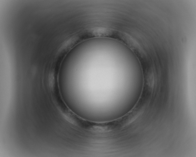 X0000113890690200909241417