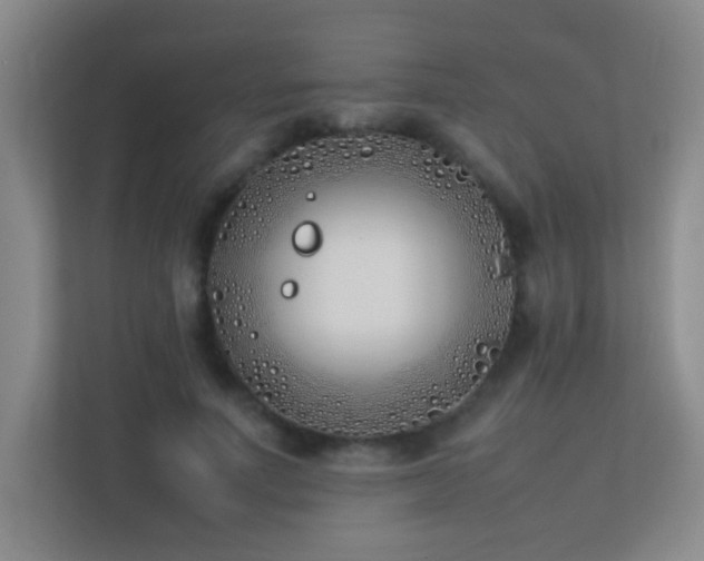 X0000113890691200909241417