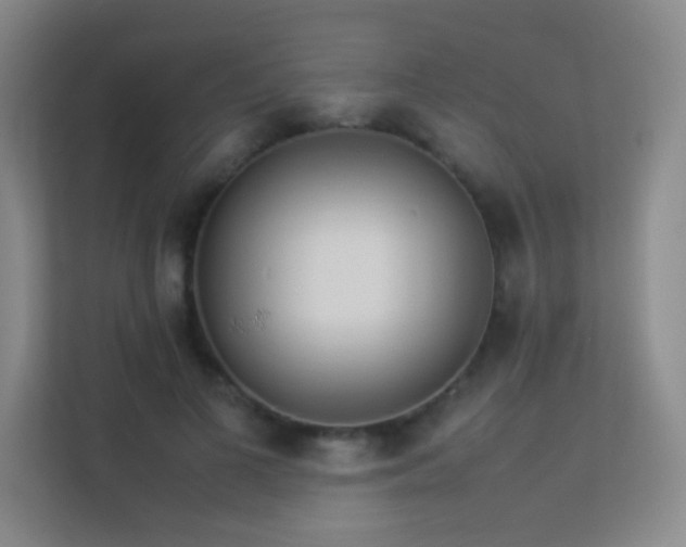 X0000113890693200909241417