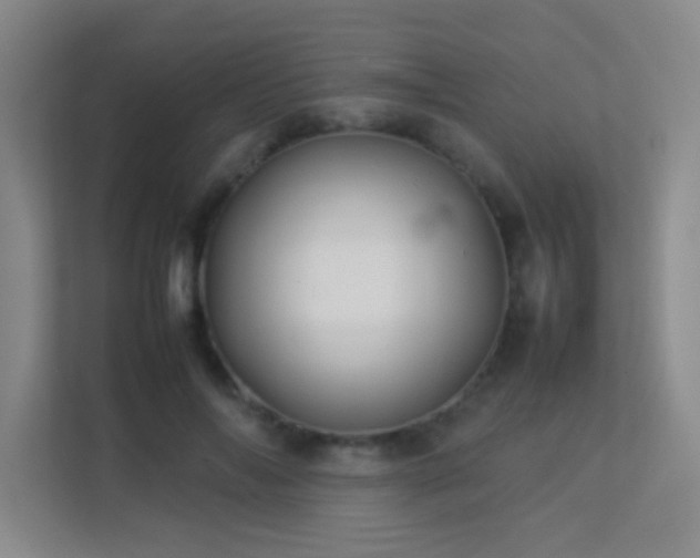 X0000113890694200909241417