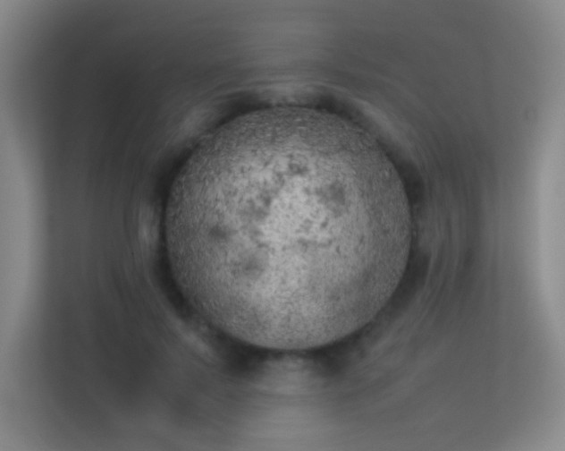 X0000113890695200909241417