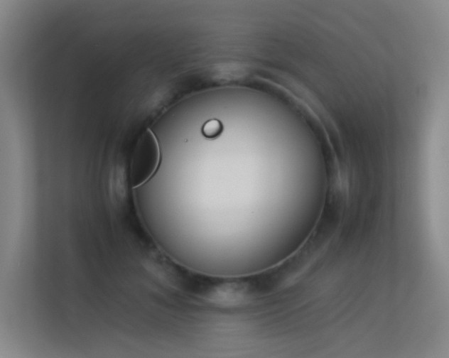 X0000113890700200909241417