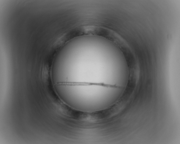 X0000113890702200909241417