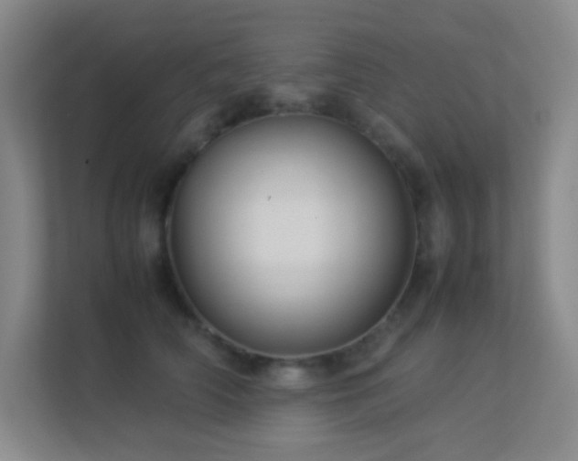 X0000113890706200909241417
