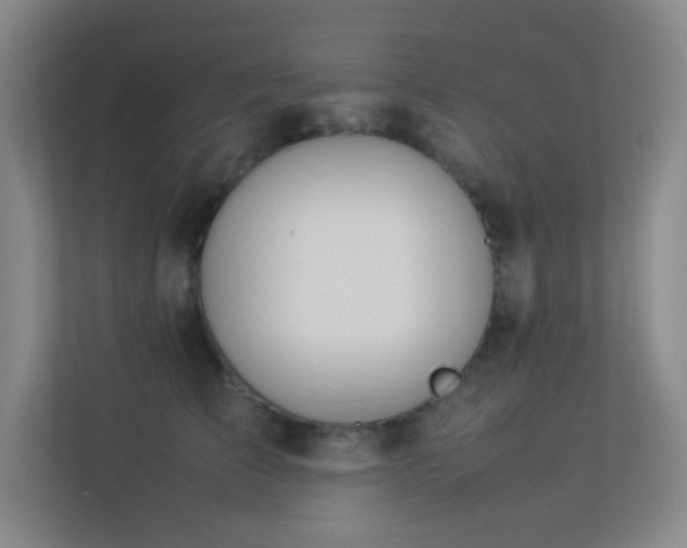 X0000113890709200909241417