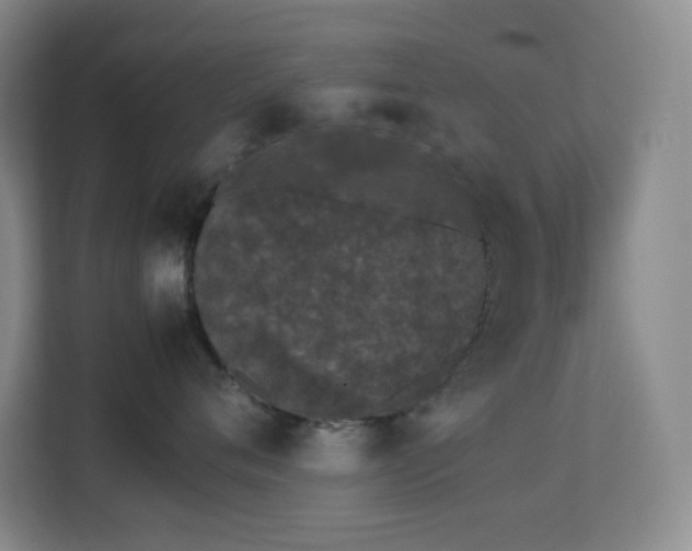 X0000113890720200909241417