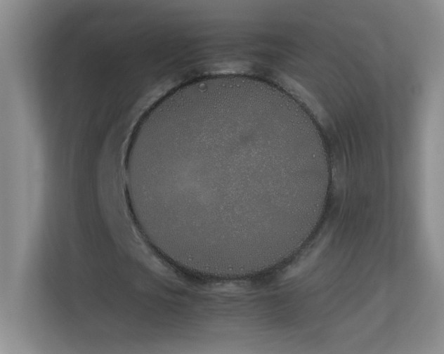 X0000113890721200909241416