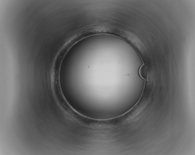 X0000113890722200909241416