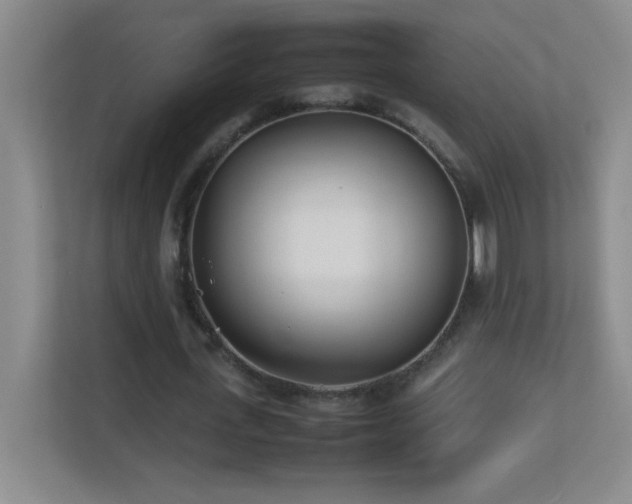 X0000113890723200909241416
