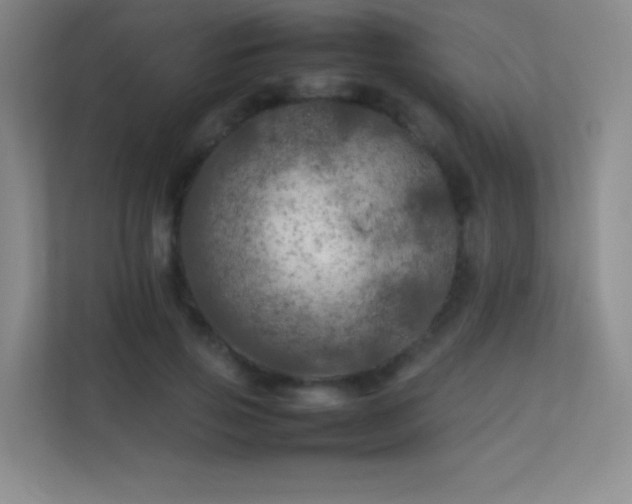 X0000113890741200909241417