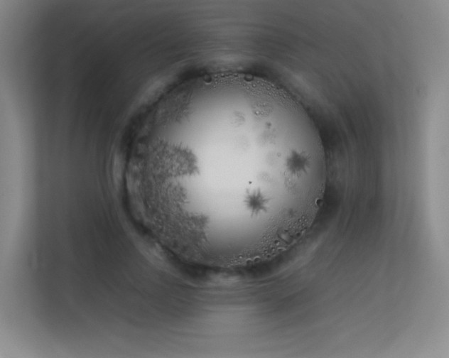 X0000113890742200909241417