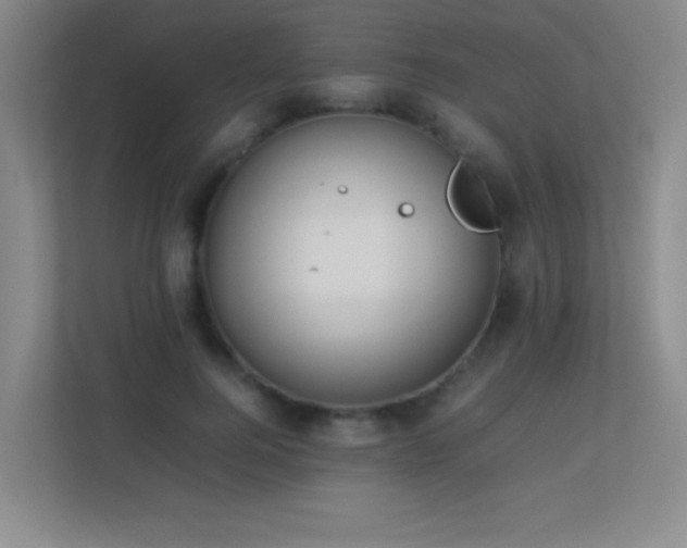 X0000113890744200909241417