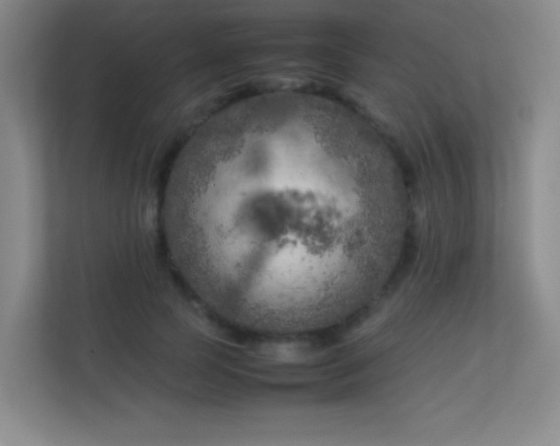 X0000113890745200909241417