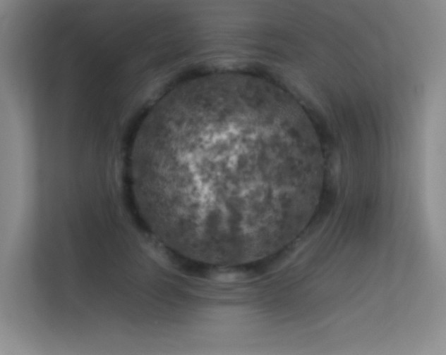 X0000113890746200909241417