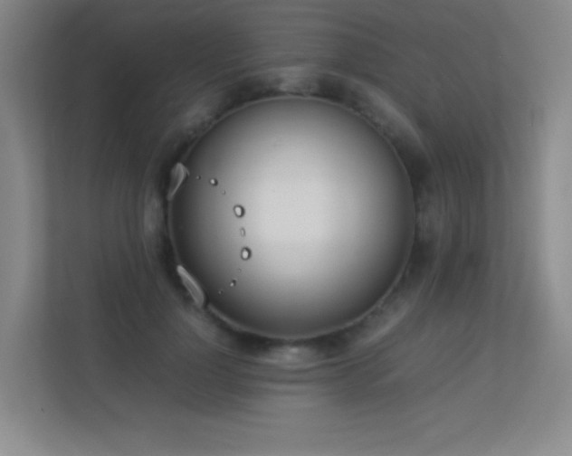 X0000113890748200909241417