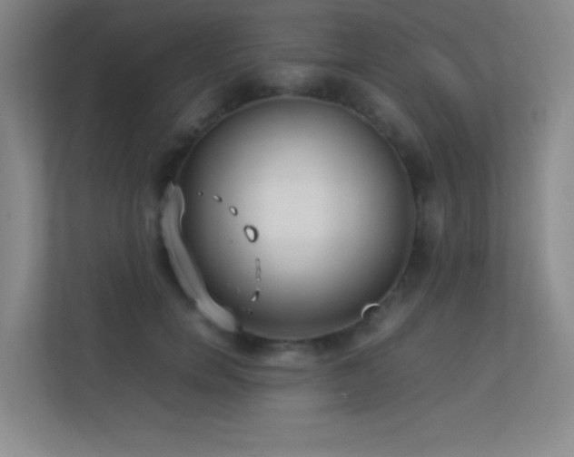 X0000113890750200909241417