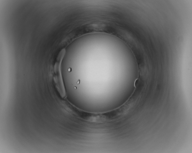 X0000113890752200909241417