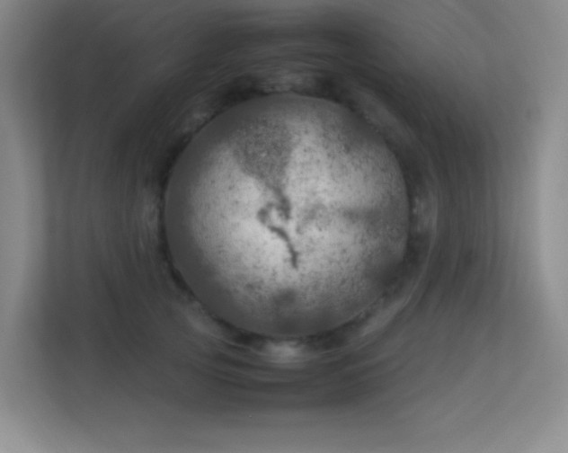 X0000113890753200909241417