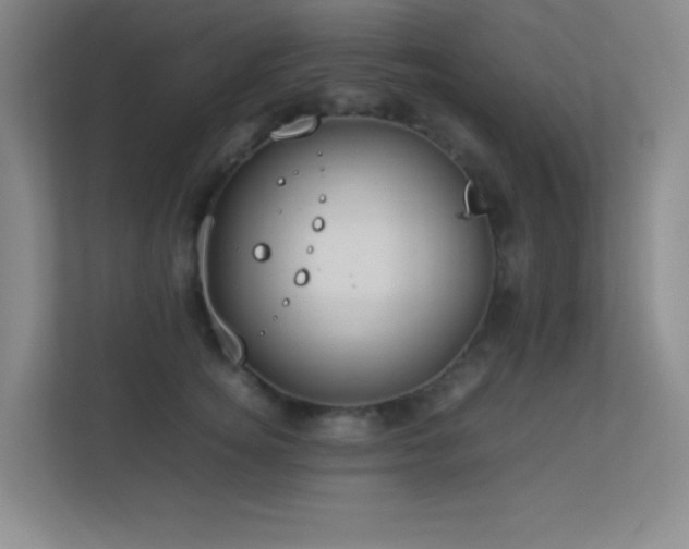 X0000113890756200909241417