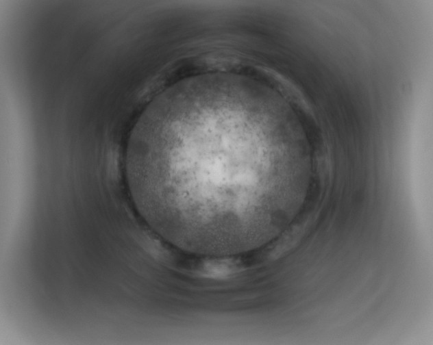 X0000113890757200909241417