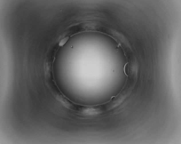 X0000113890759200909241417